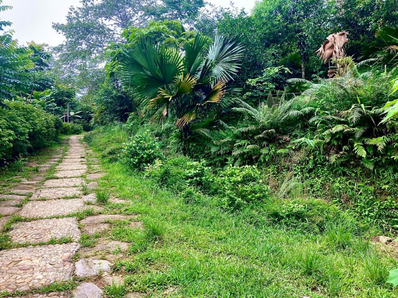 Tvpalm Ecolodge Hà Giang Zewnętrze zdjęcie
