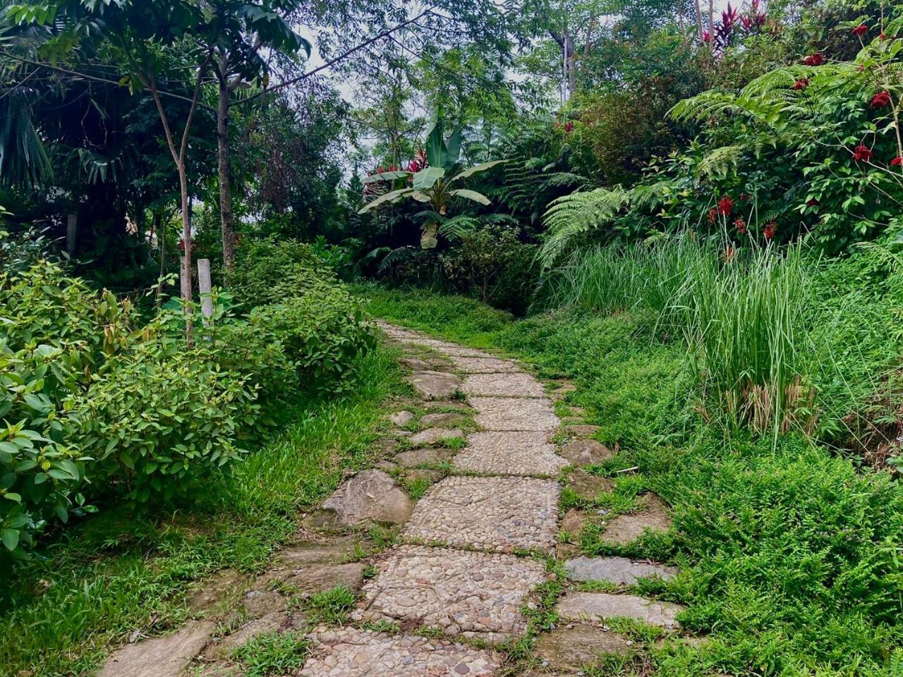 Tvpalm Ecolodge Hà Giang Zewnętrze zdjęcie